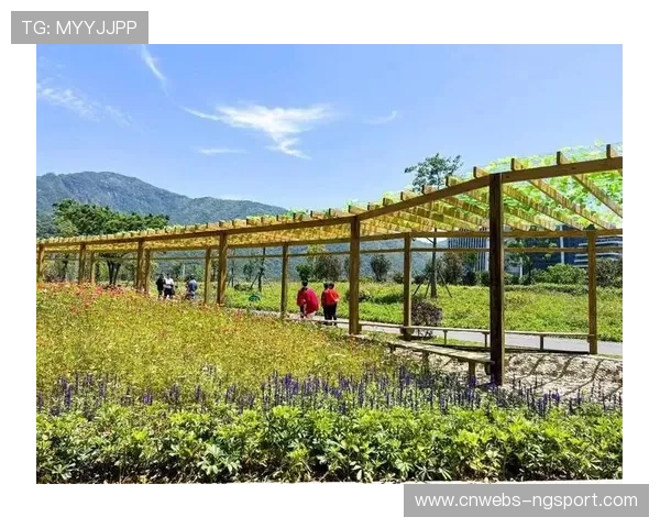 青白江区跑出项目冲刺“加速度”，拓展枢纽通道“新版图”